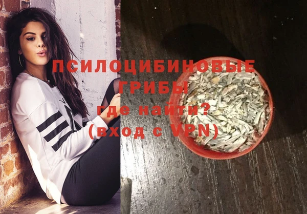 шишки Арсеньев