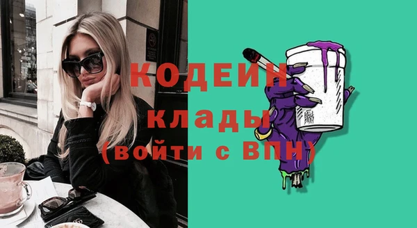 шишки Арсеньев