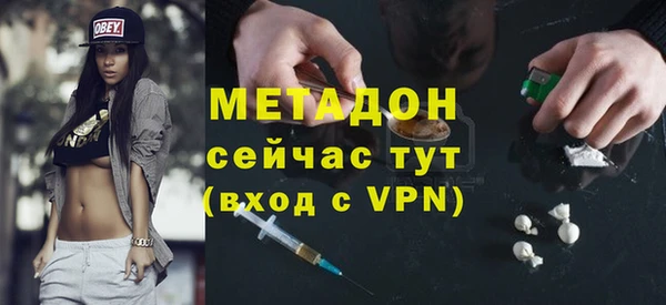 шишки Арсеньев