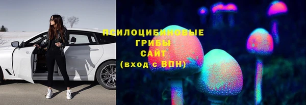 стафф Аркадак