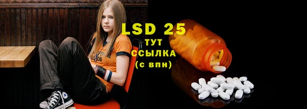стафф Аркадак