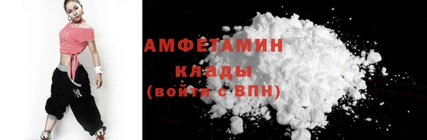 шишки Арсеньев