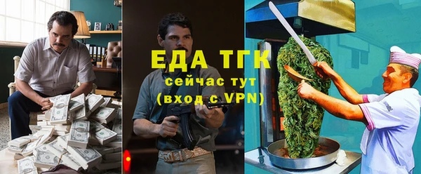 шишки Арсеньев