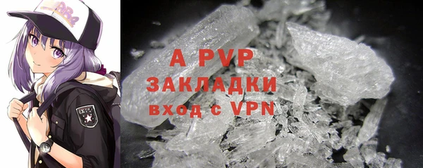 шишки Арсеньев